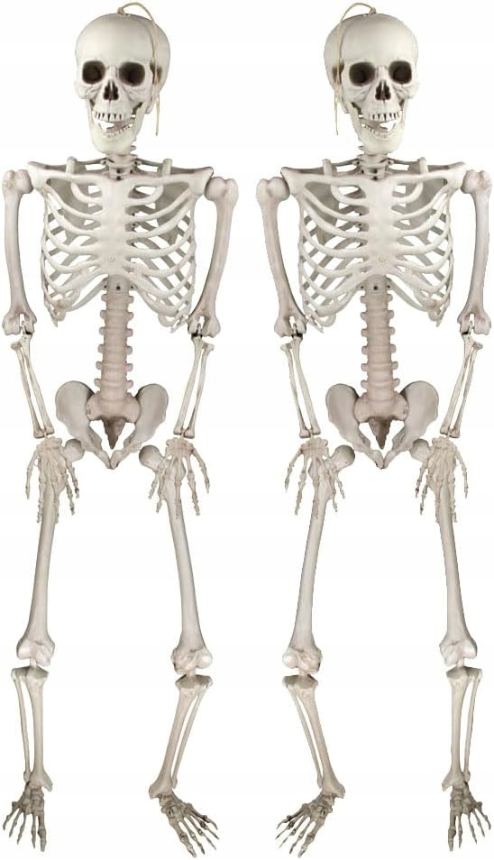 2x ZÁVESNÉ KOSTRY 35cm KOMPLET KOSTRE OZDOBA HALLOWEENSKÉ DEKORÁCIE