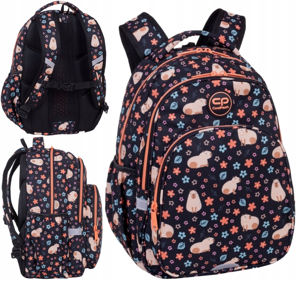 Mládežnícky školský batoh CoolPack BASE PLUS CAPYBARA