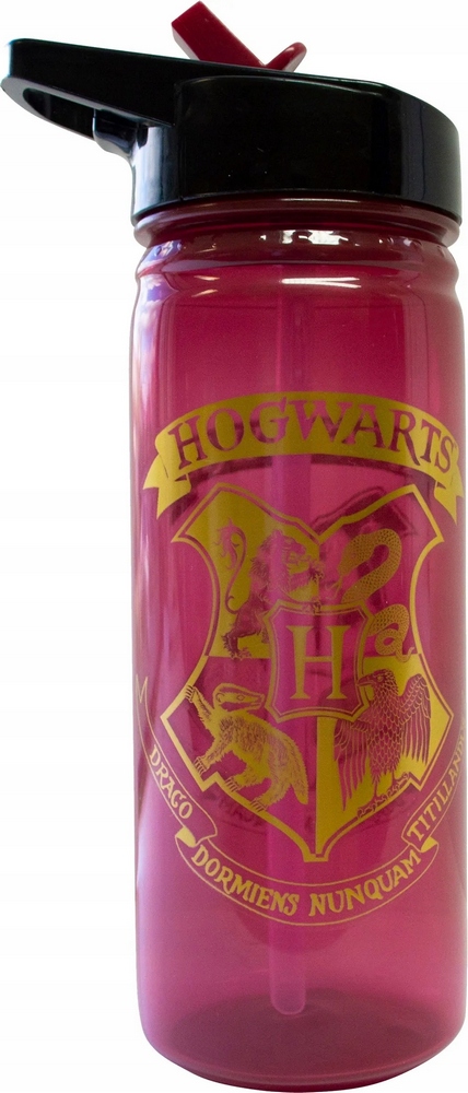Detský desiatový box, fľaša - Harry Potter Rokfort Bun. 600 ml