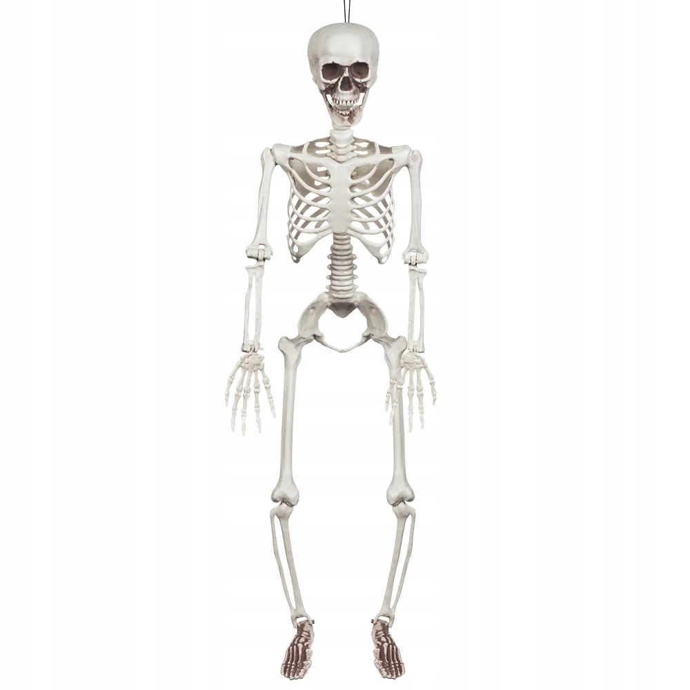ZÁVESNÁ DEKORÁCIA SKELET 91 CM HALLOWEEN Skelet