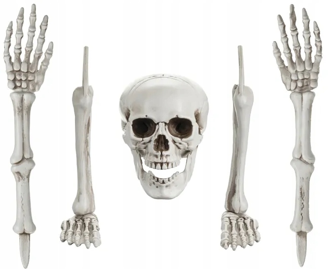 Dekorácia Skeleton BONES Skeleton Skull Arms Legs Halloween 5 ks.