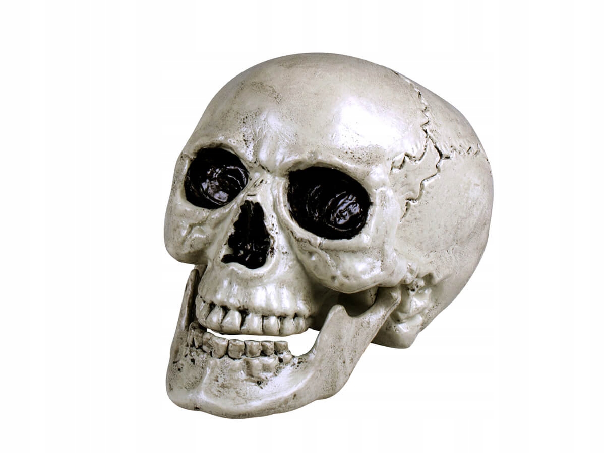 Halloweenska lebka - 20 cm - 1 ks