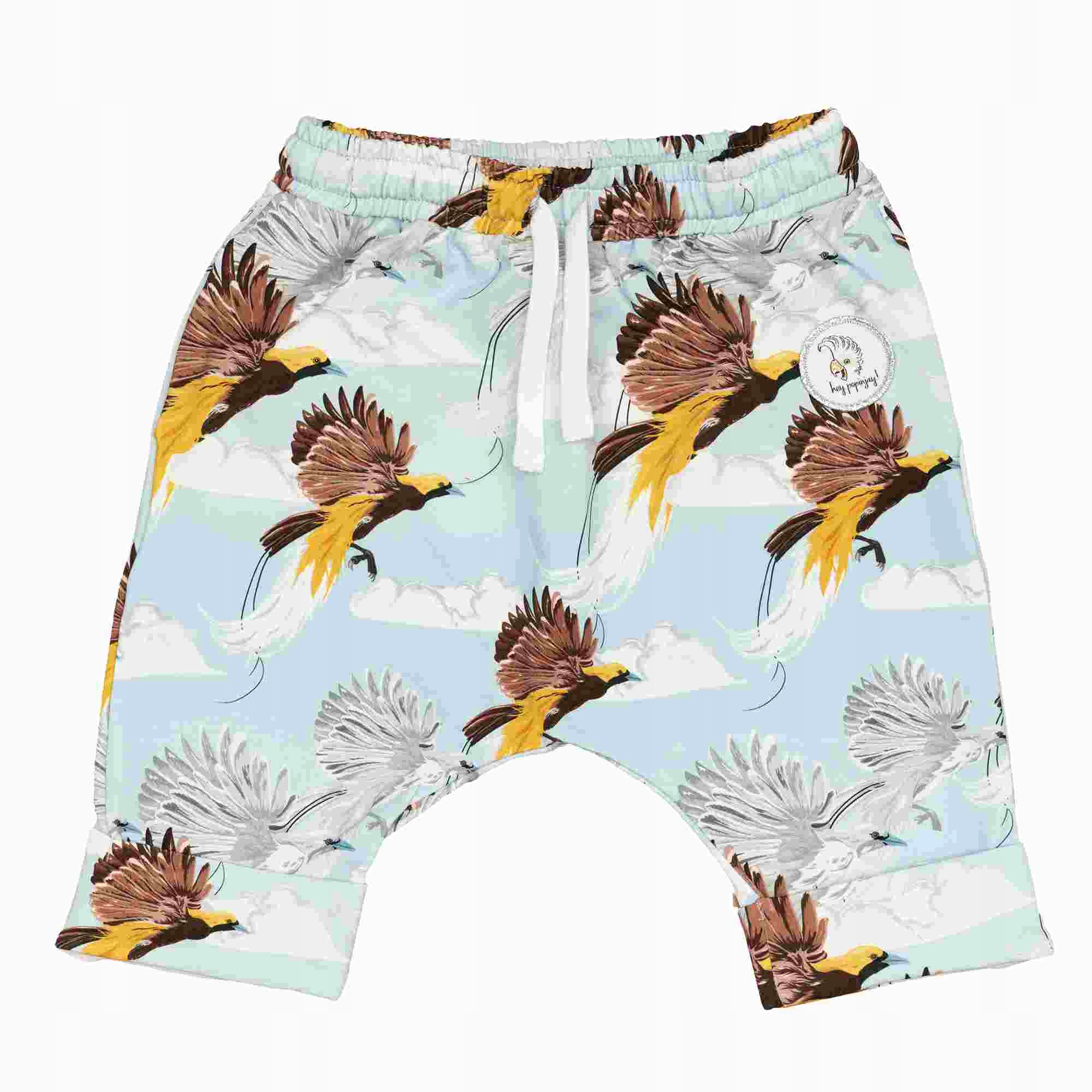 Detská košeľa - Krátke šortky Ahoj Popinjay 92 Multicolor