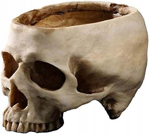 Skull Ornament Nádoba na kvetináč s hlavičkou lebky na Halloween