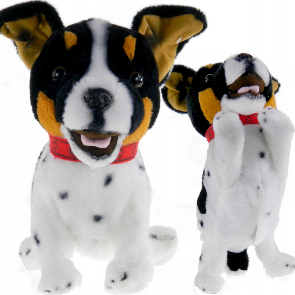 Maskot pes 32 cm Madej 3 roky +