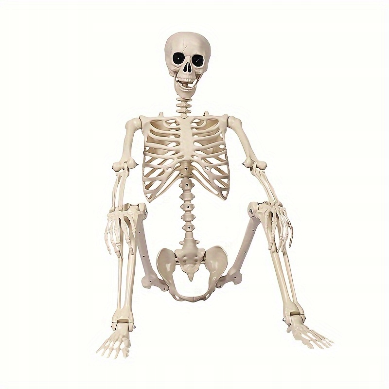 Realistická veľkosť 5,4 nohy halloweenskej kostry – realistická