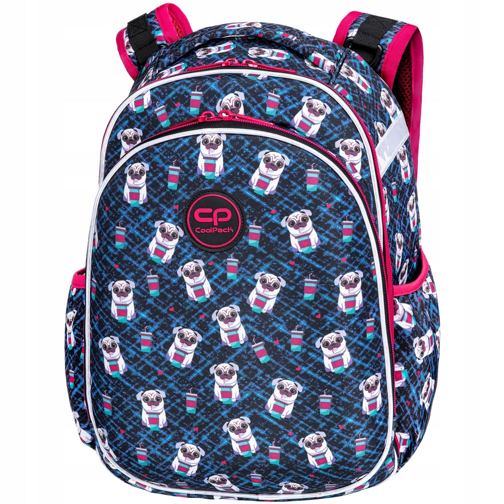 Školská školská taška pre deti Coolpack korytnačka u psov
