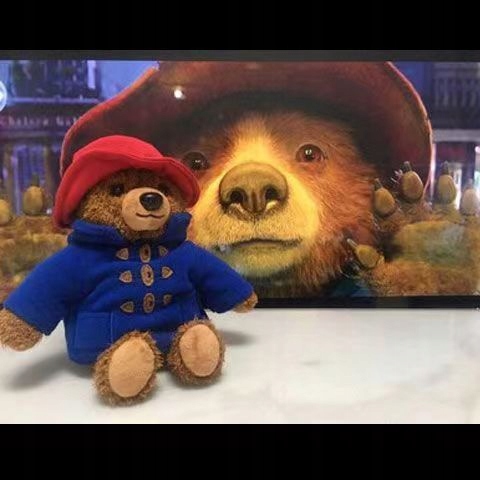Maskot sladká plyšová hračka Paddington
