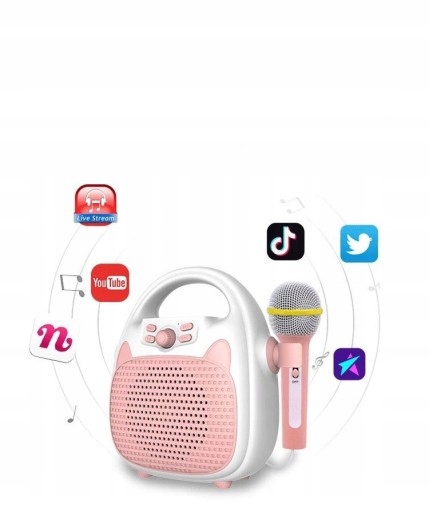 Karaoke mikrofón reproduktor Bluetooth Deti set