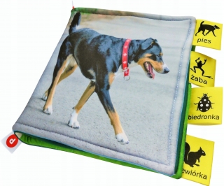 Vzdelávacie brožúry Zvieratá Parenti KRZ2 0+
