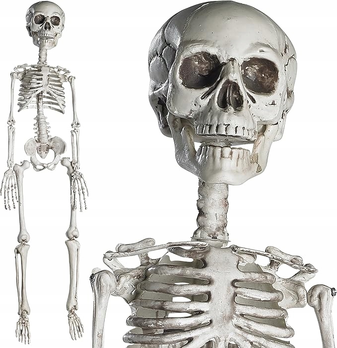 komplet halloweensky skelet s pohyblivými kĺbmi, 76CM